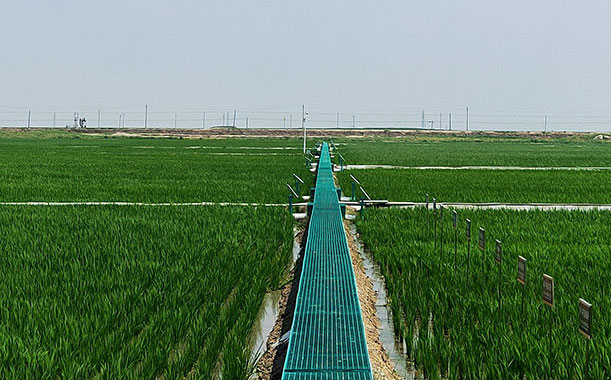 對不銹鋼金屬軟管成型機行業的思考